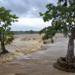 Two terrorists killed by security forces in Jammu and Kashmir’s Gurez sector; soldier dies in Kupwara