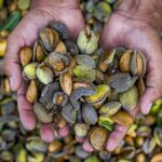 Cloudbursts, landslip hit Jammu and Kashmir’s Kathua; at least seven dead | updates