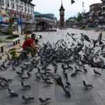 Protests, clamour for special status mark 6th anniversary of Article 370’s abrogation in J&K