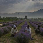 At least 14 houses gutted in Bandipora’s Gurez