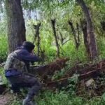 Police not filing FIR against Waqf chairperson over Hazratbal incident, will approach court: PDP