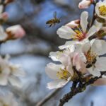 Time to present true narrative on J&K as it was manipulated for decades: J&K L-G Manoj Sinha