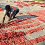 Train pilot injured as eagle shatters windscreen; lands inside cabin