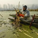 Chinese national blacklisted, sent back from Kashmir for violating foreigners registration rules: Officials