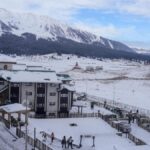 Kashmir cricketer sports Palestinian flag during match, comes under Jammu police scanner