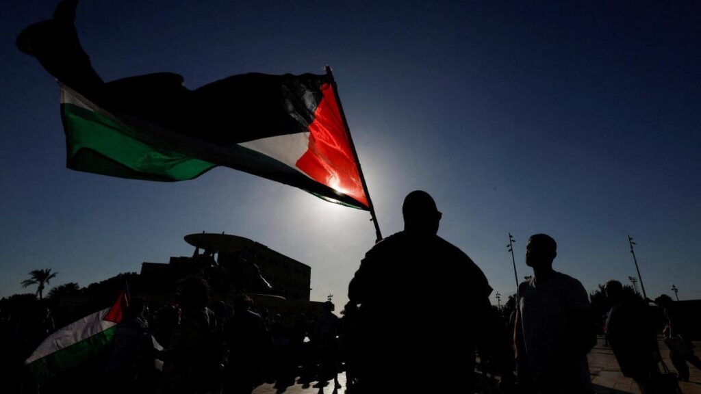 kashmir-cricketer-faces-police-inquiry-over-palestine-flag-on-helmet