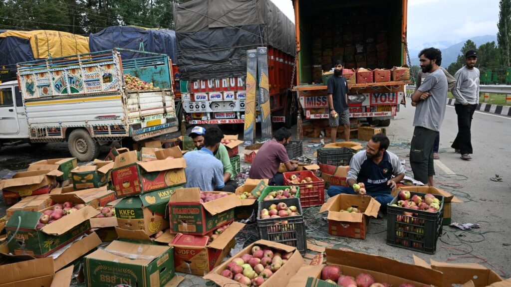 indian-farmers-fear-a-flood-of-cheap-new-zealand-apples-if-duty-cuts-take-effect