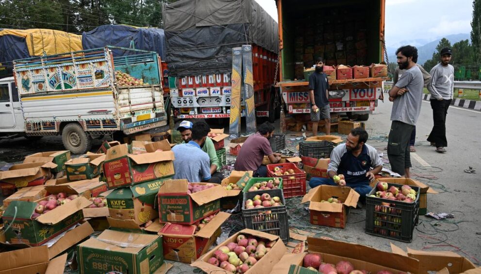 indian-farmers-fear-a-flood-of-cheap-new-zealand-apples-if-duty-cuts-take-effect