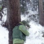 50 flights to and from Srinagar cancelled due to snowfall