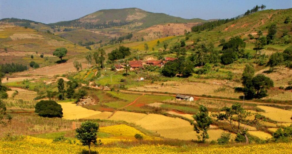 union-budget-2026:-mountain,-turtle,-birdwatching-trails-to-come-up-in-himachal,-jammu-&-kashmir,-odisha,-karnataka,-kerala,-tamil-nadu