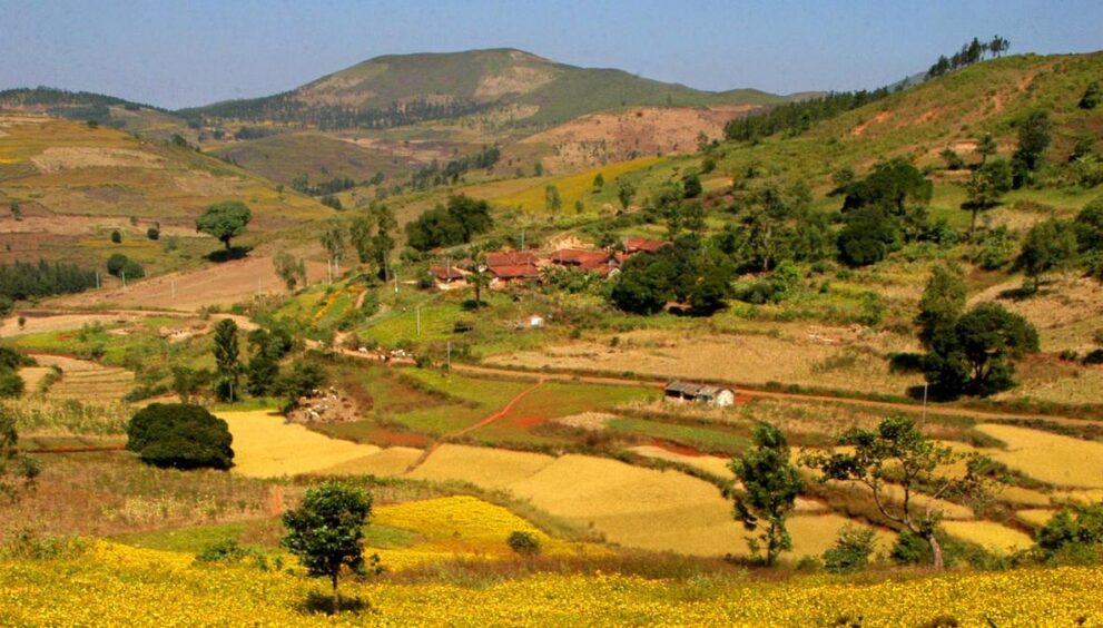 union-budget-2026:-mountain,-turtle,-birdwatching-trails-to-come-up-in-himachal,-jammu-&-kashmir,-odisha,-karnataka,-kerala,-tamil-nadu