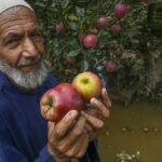 Civilian injured in landmine explosion in Jammu and Kashmir’s  Poonch district