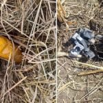 BJP Legislator says ‘residents of Kashmir occupying land illegally in Jammu’, evokes sharp reactions