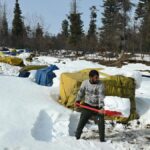 Infiltration foiled along LoC in J&K’s Rajouri, says Army