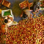 Time to move towards artificial snow for winter games, says Omar Abdullah