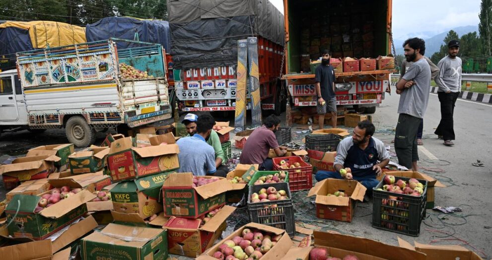 apple-farmers-demand-protection-against-import-of-fruits-from-us.,-to-hold-protest-outside-parliament