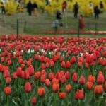 Fire breaks out in hotel in Pahalgam; man dies as reversing fire tender hits him