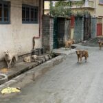 DPS Baramulla students protest, Principal apologises over alleged controversial remark