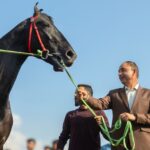 DPS Baramulla students protest, Principal apologises over alleged controversial remark