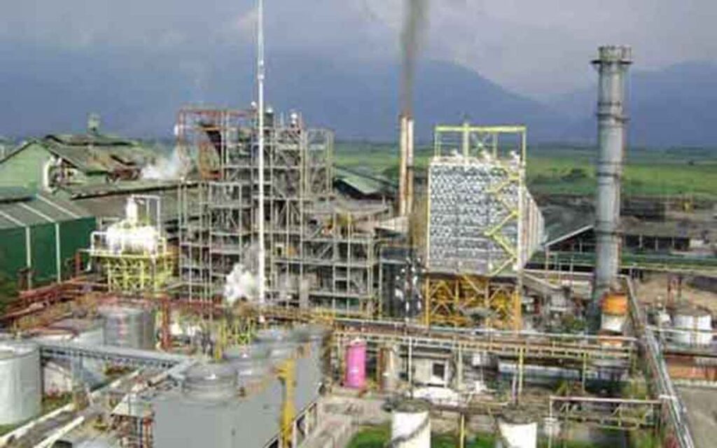 ncss-2021-vision-undone-by-flawed-design,-policy-gaps