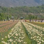 Children killed in Lebanon as Israeli strikes hit homes far from front lines of war with Hezbollah