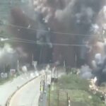 Over 3 lakh tourists visited Tulip garden this season: Official