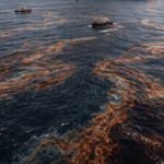 Private Universities Bill and Two Reports