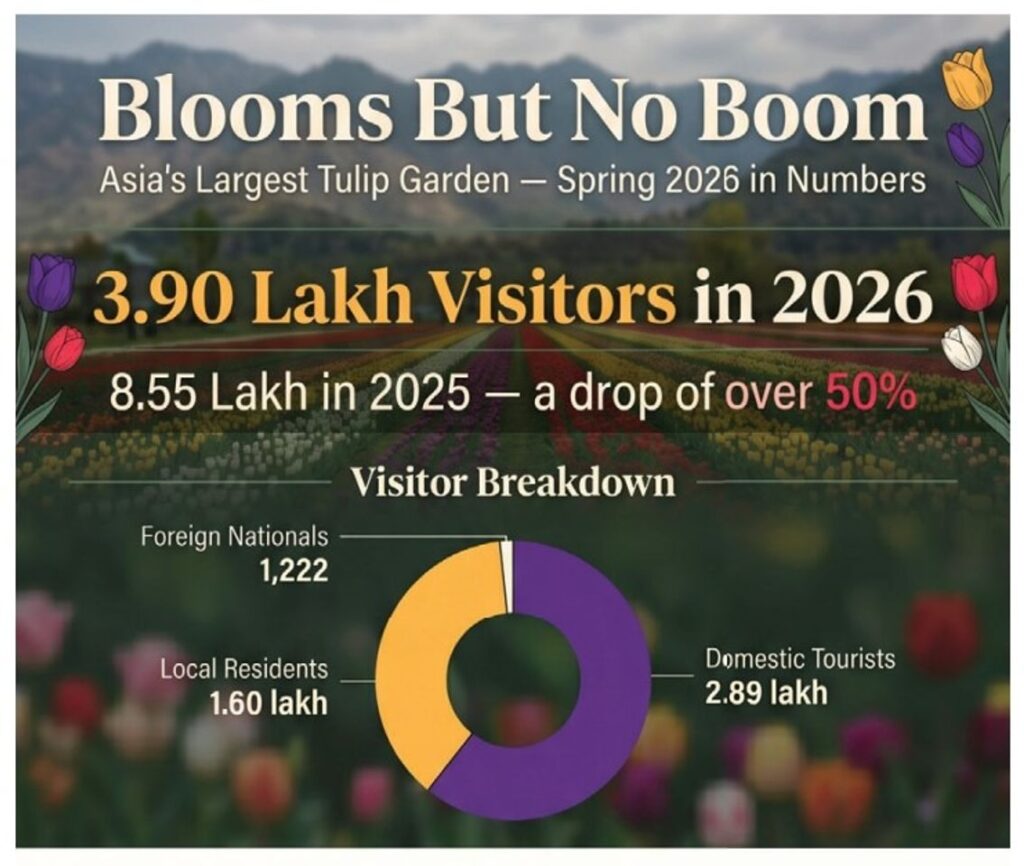 kashmir’s-tulip-garden-draws-half-the-crowd-this-year